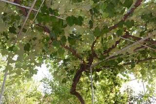 Апартаменты Apartments Mirko Улцинь Апартаменты с 1 спальней-26